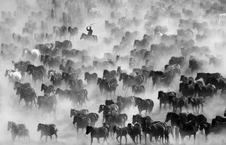 改革开放 为梧州文艺与企业形象策划开启新纪元